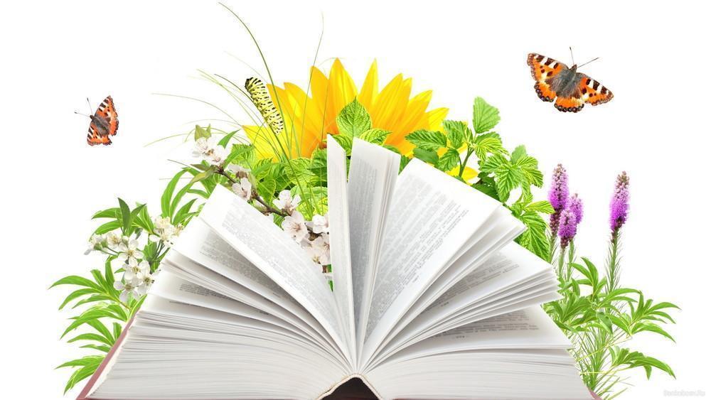 Отчет о проведении декады русского языка и литературы