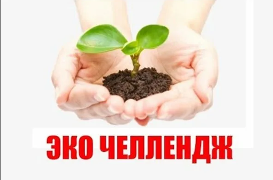 "Табиғатты аялайық " атты эко-челлендж